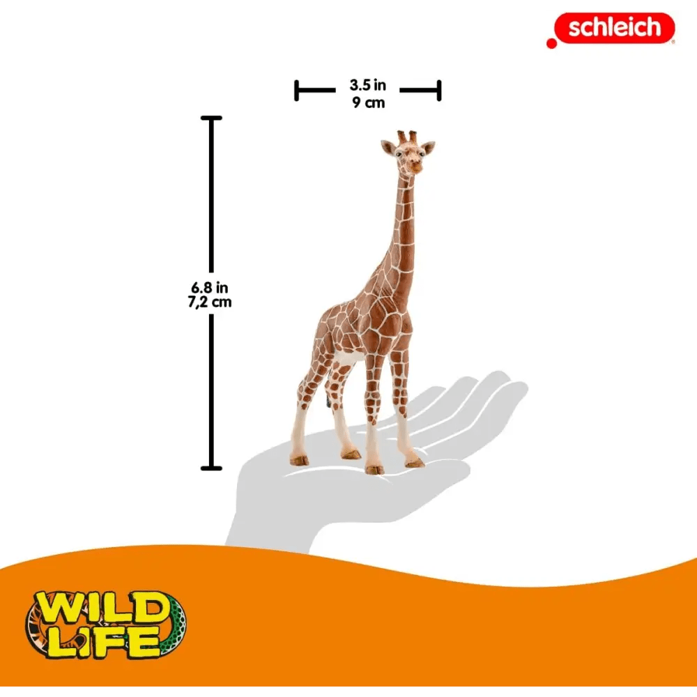 Giraffa Schleich - Giocattoli e Bambini - Toys Store4005086147508