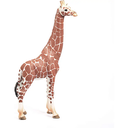 Giraffa Schleich