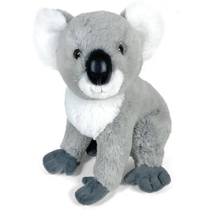 Koala Peluche 30 cm