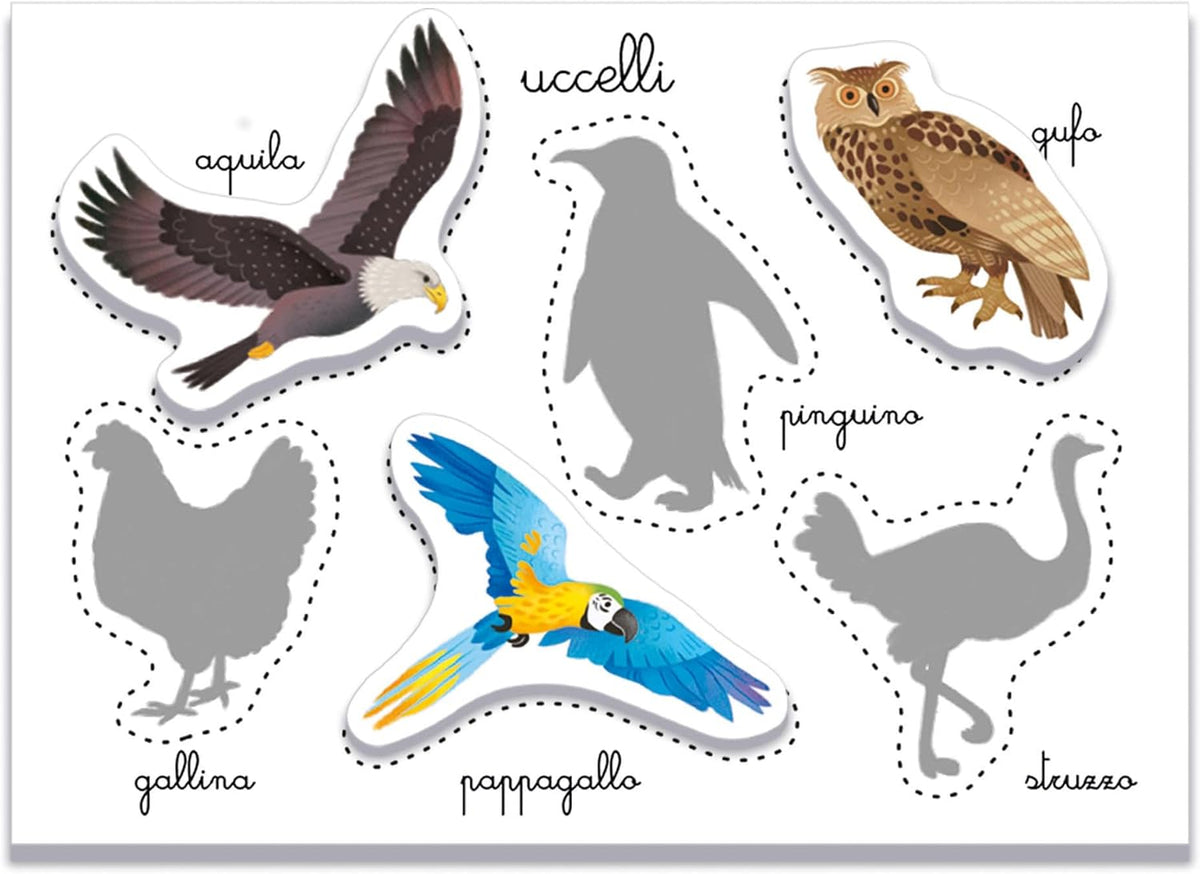 Sapientino Animali Gioco Montessori - montessori amici animali