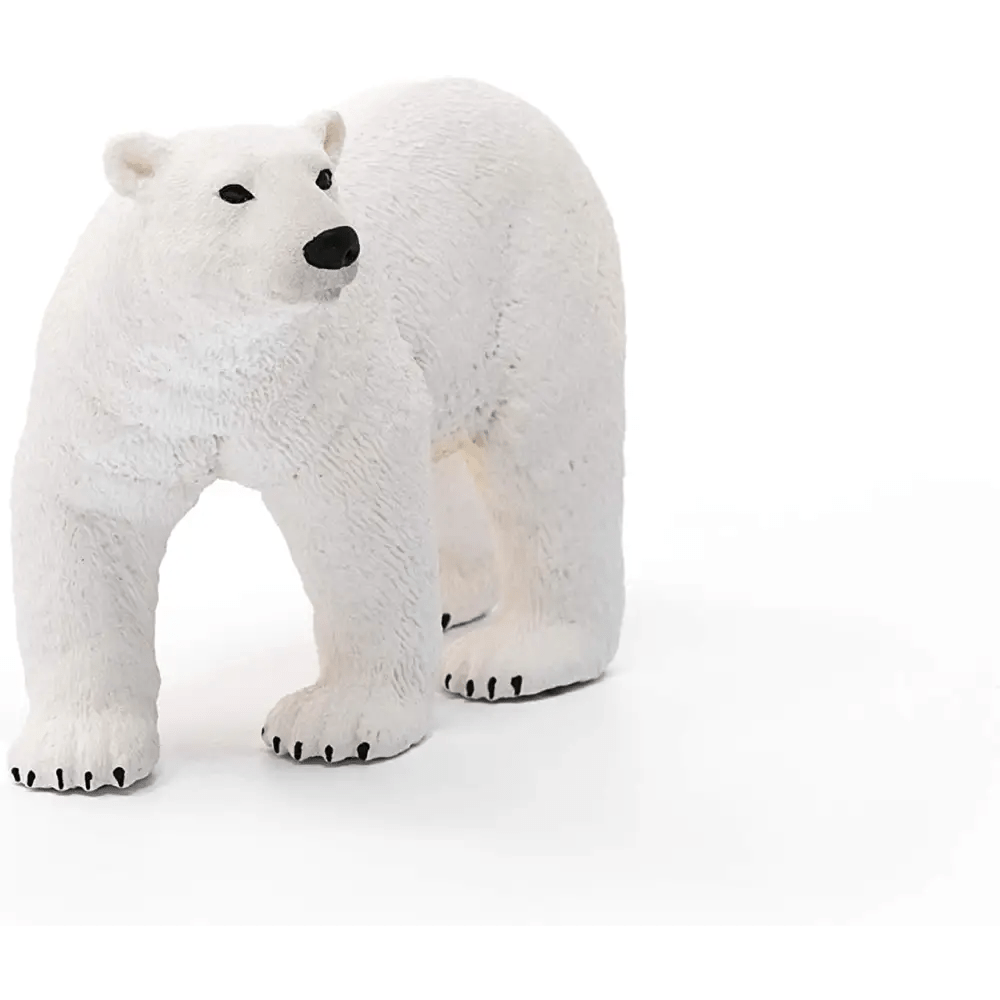 Orso polare Schleich - Giocattoli e Bambini - Toys Store4055744019777