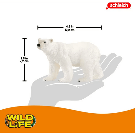 Orso polare Schleich - Giocattoli e Bambini - Toys Store4055744019777