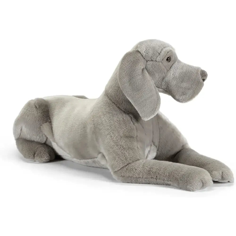 Plush peluche trudi weimaraner wolfgang taglia xxl con pelo lungo grigio morbido e cuciture dettagliate