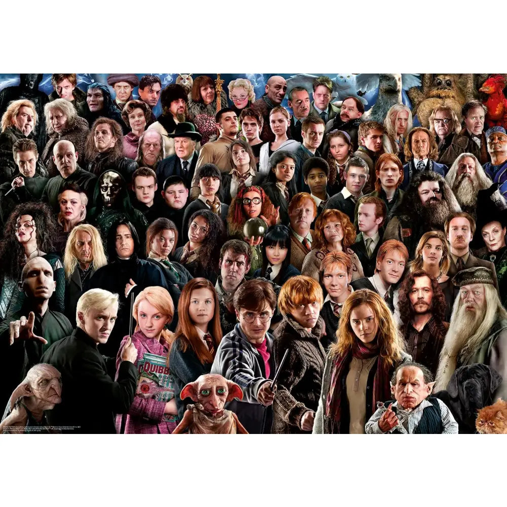 Puzzle 1000 pezzi Harry Potter Challenge - Ravensburger - in legno - 4005556149889