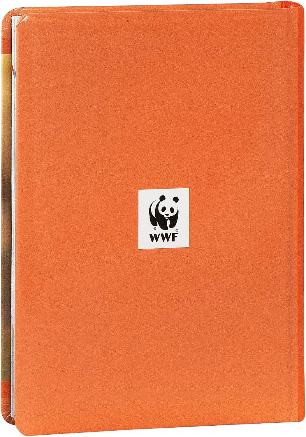 Diario Scuola WWF Leopardo Fotografico 12 Mesi 2026/2027 - scuola wwf leopardo