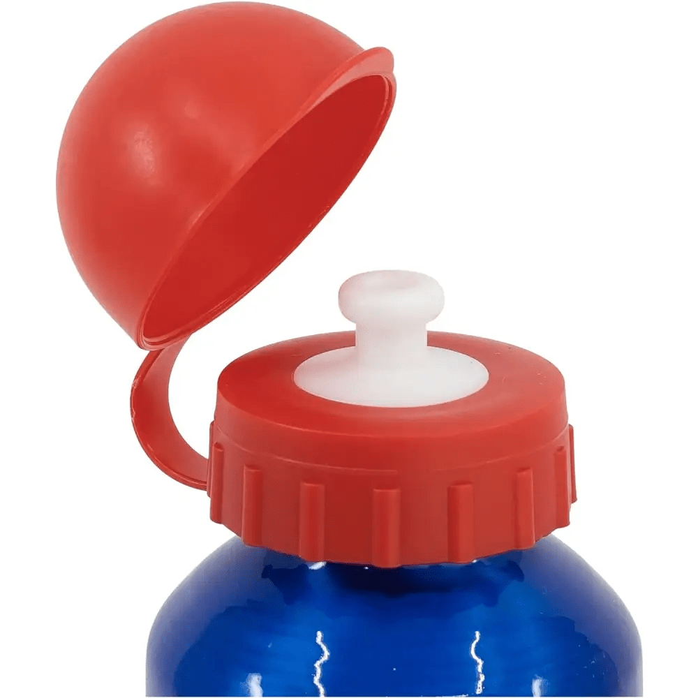 Super Mario borraccia in alluminio - Giocattoli e Bambini - Toys Store8412497214341